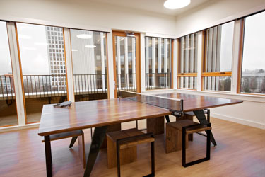Elwood Home custom ping pong table